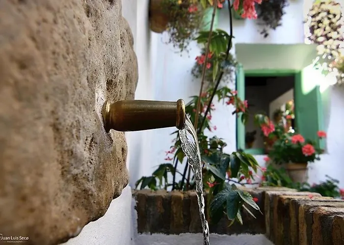 La Casa De La Costurera קורדובה